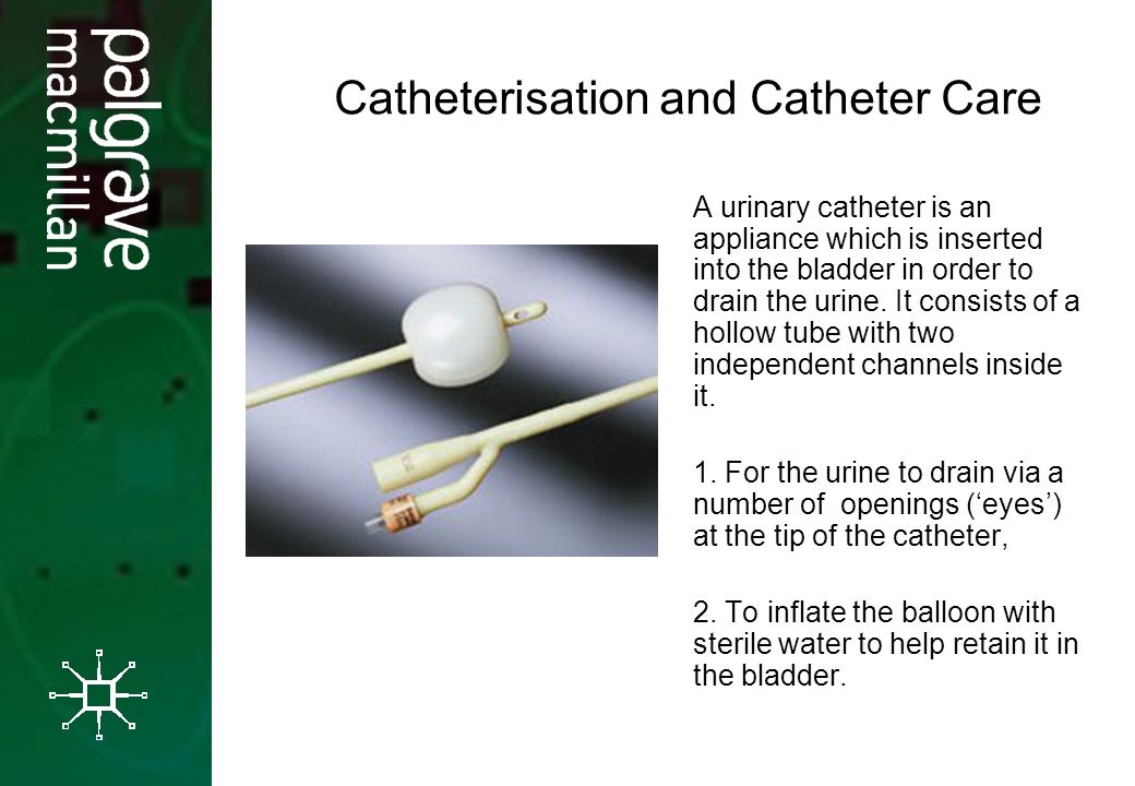 Are Catheter hole into pee slid join Brilliant idea Catheter hole into pee slid opinion you