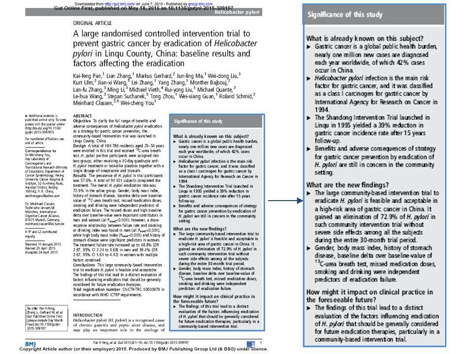 report style essay reflective