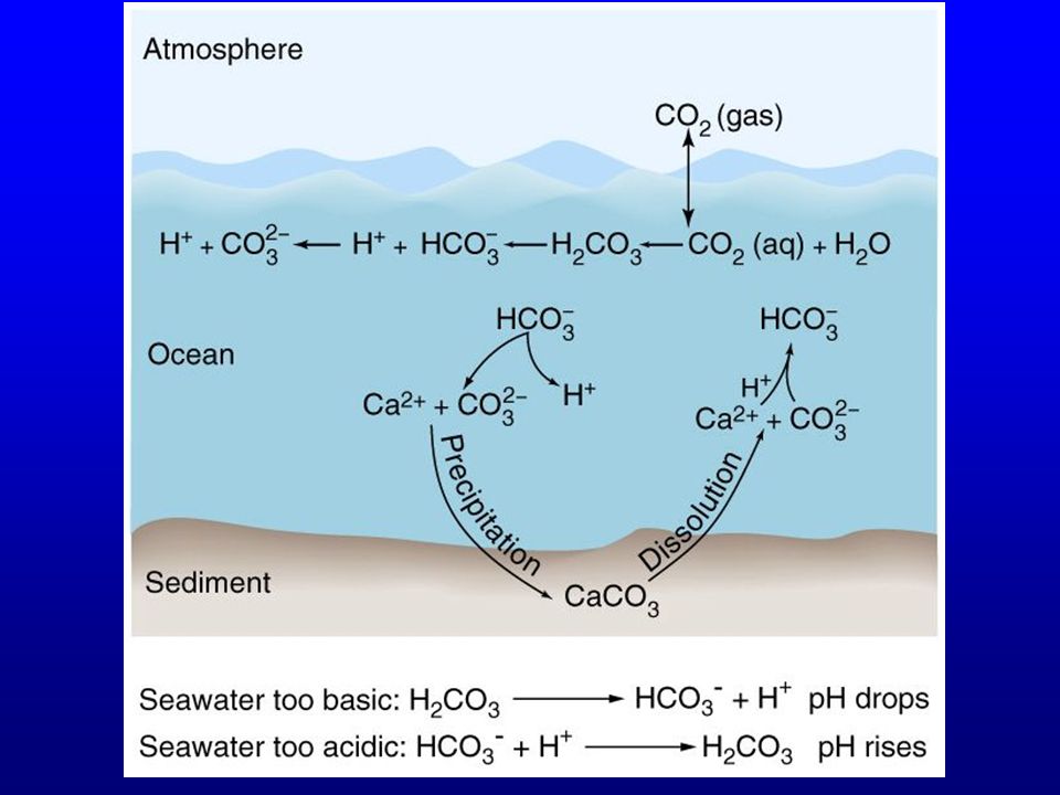Углерод растворимый в воде. Карбонатная система океана. Поглощение углекислого газа океаном. Растворение углерода в воде. Углерод в океане.