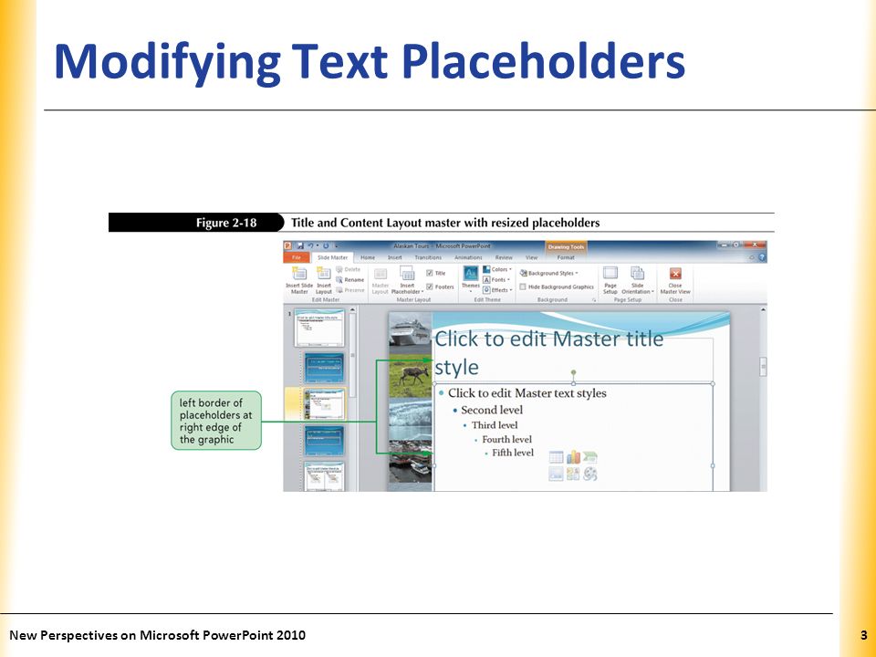 XP Modifying Text Placeholders New Perspectives on Microsoft PowerPoint 20103