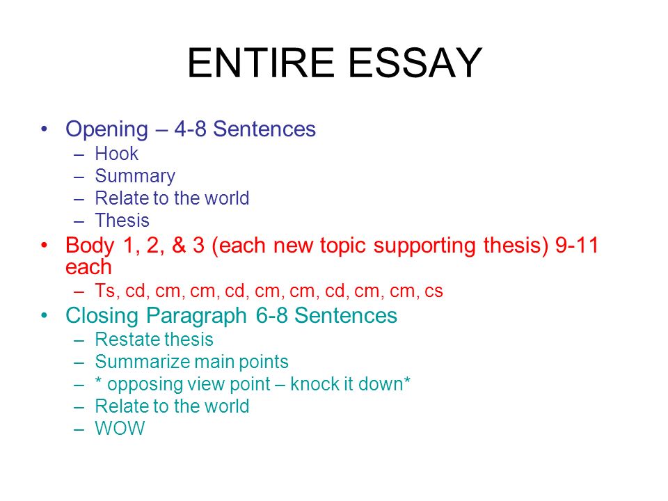 opening paragraph 4 6 sentences starts with an interesting opening sentences for essays