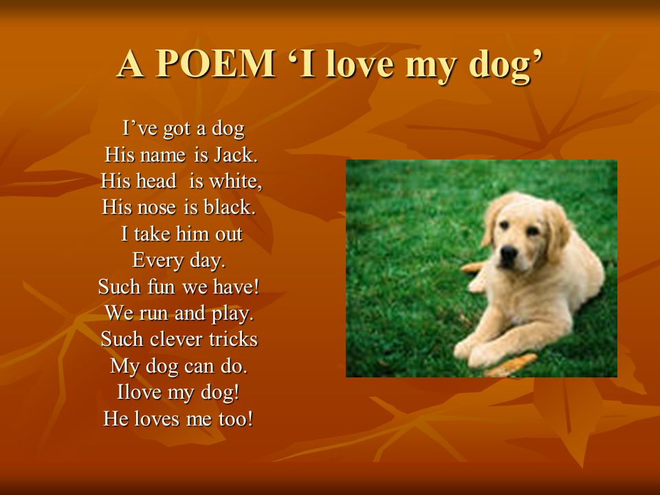 A POEM ‘I love my dog’ I’ve got a dog I’ve got a dog His name is Jack.