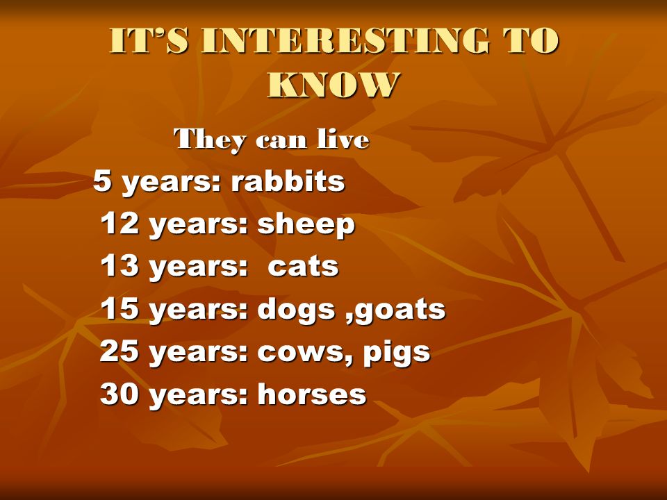 IT’S INTERESTING TO KNOW They can live They can live 5 years: rabbits 5 years: rabbits 12 years: sheep 12 years: sheep 13 years: cats 13 years: cats 15 years: dogs,goats 15 years: dogs,goats 25 years: cows, pigs 25 years: cows, pigs 30 years: horses 30 years: horses