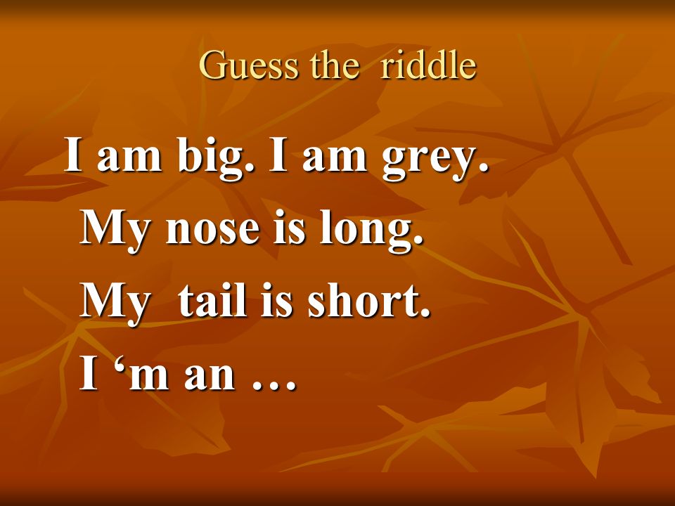 Guess the riddle I am big. I am grey. I am big. I am grey.