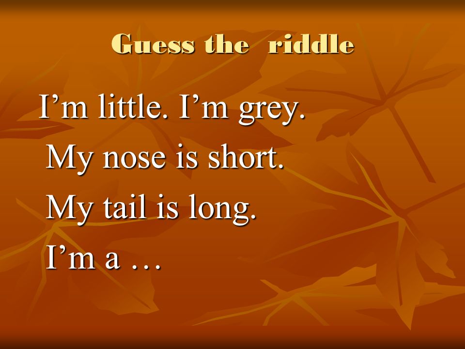 Guess the riddle I’m little. I’m grey. I’m little.