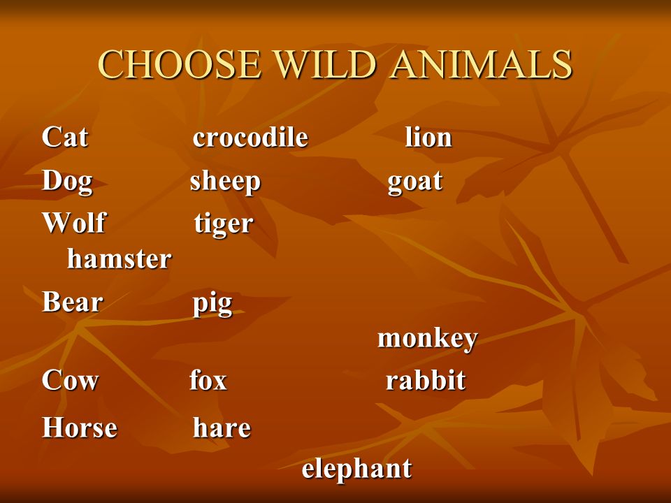 CHOOSE WILD ANIMALS Cat crocodile lion Dog sheep goat Wolf tiger hamster Bear pig monkey Cow fox rabbit Horse hare elephant