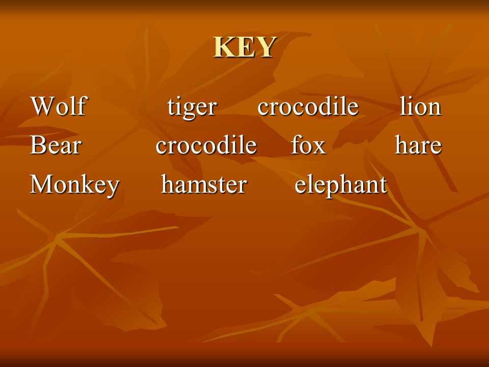KEY Wolf tiger crocodile lion Bear crocodile fox hare Monkey hamster elephant