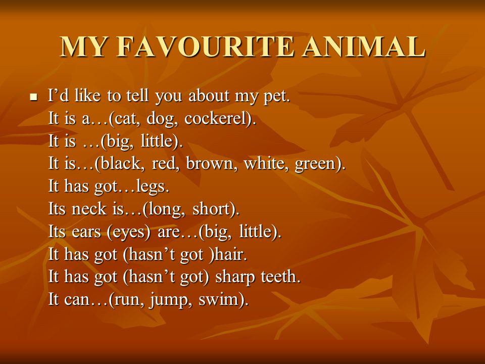 MY FAVOURITE ANIMAL I’d like to tell you about my pet.