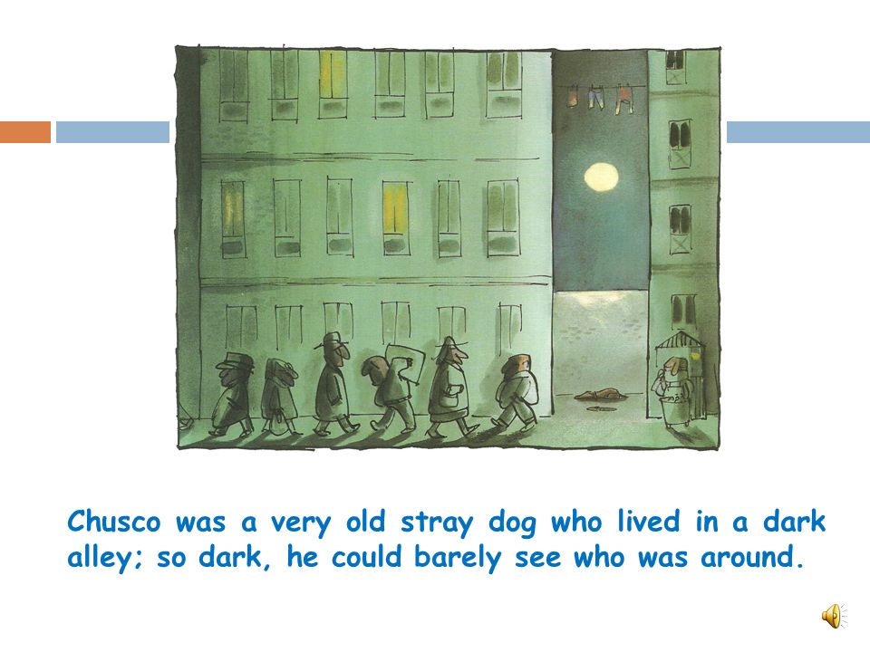 CHUSCO, THE STRAY DOG.