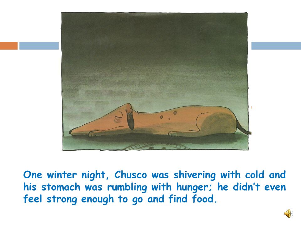 Chusco was a very old stray dog who lived in a dark alley; so dark, he could barely see who was around.