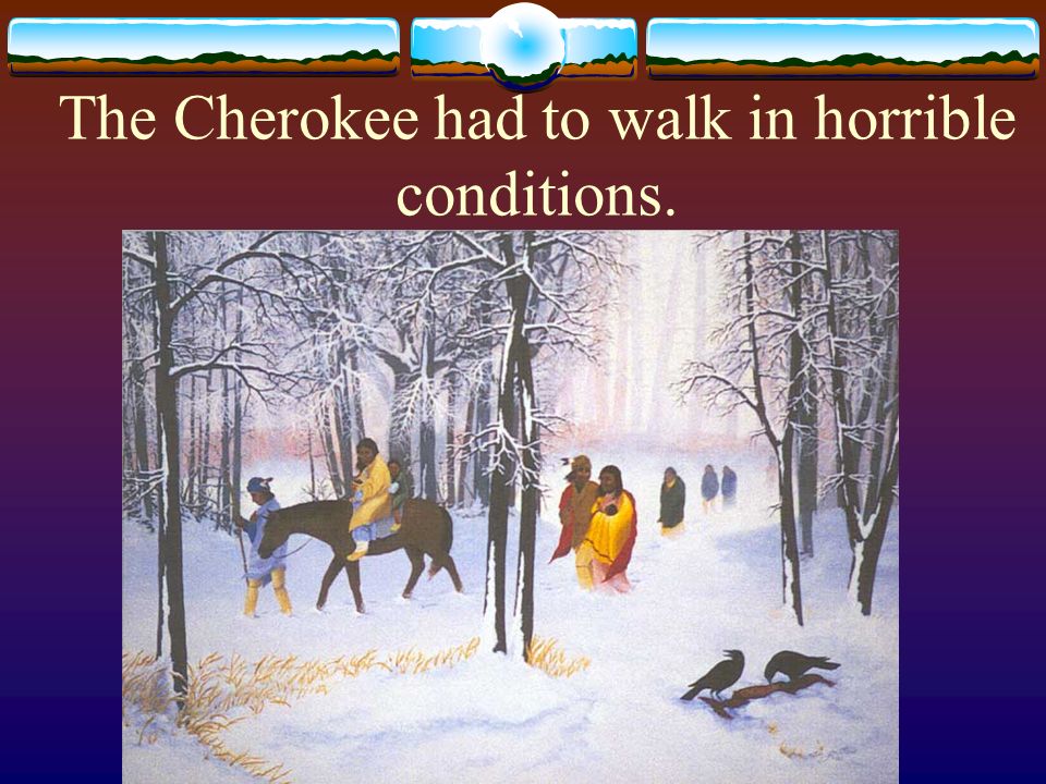 The Cherokee had to walk in horrible conditions.
