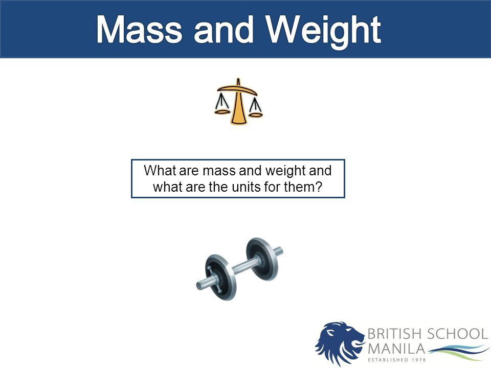 What are mass and weight and what are the units for them