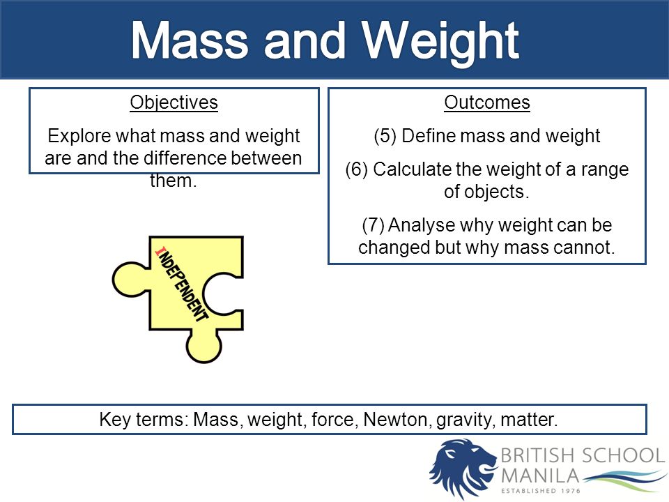 Objectives Explore what mass and weight are and the difference between them.