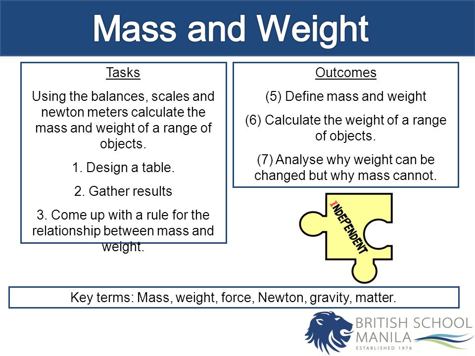 Tasks Using the balances, scales and newton meters calculate the mass and weight of a range of objects.