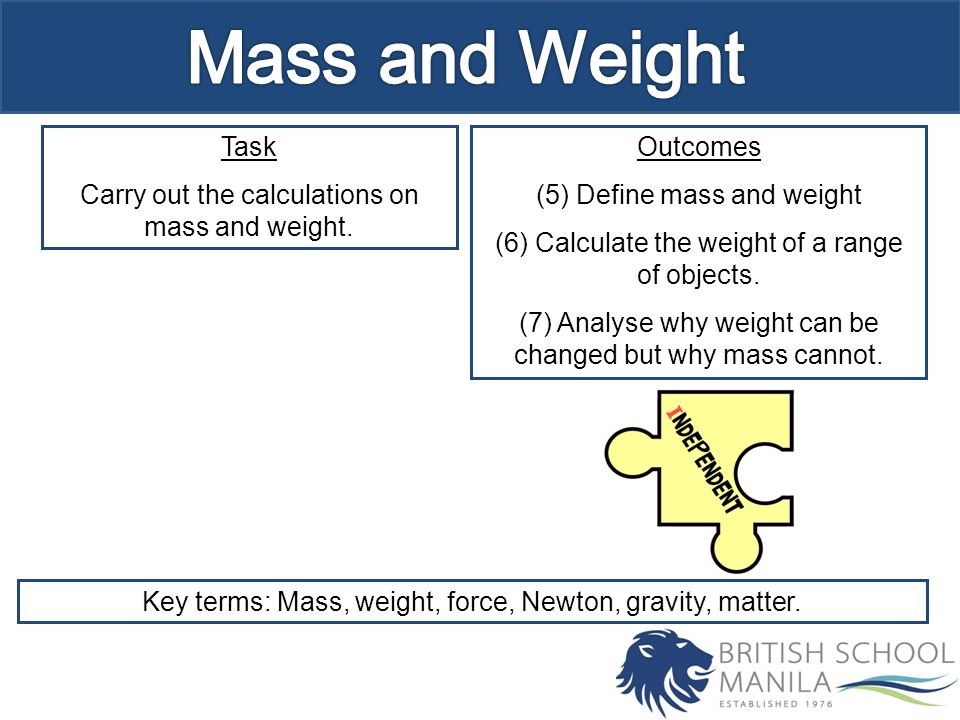 Task Carry out the calculations on mass and weight.