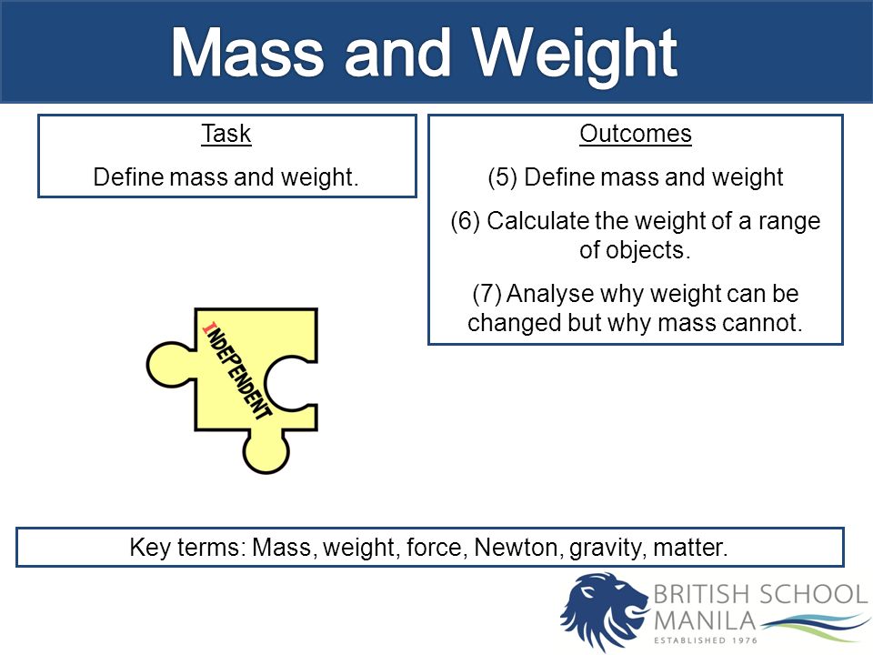Task Define mass and weight.