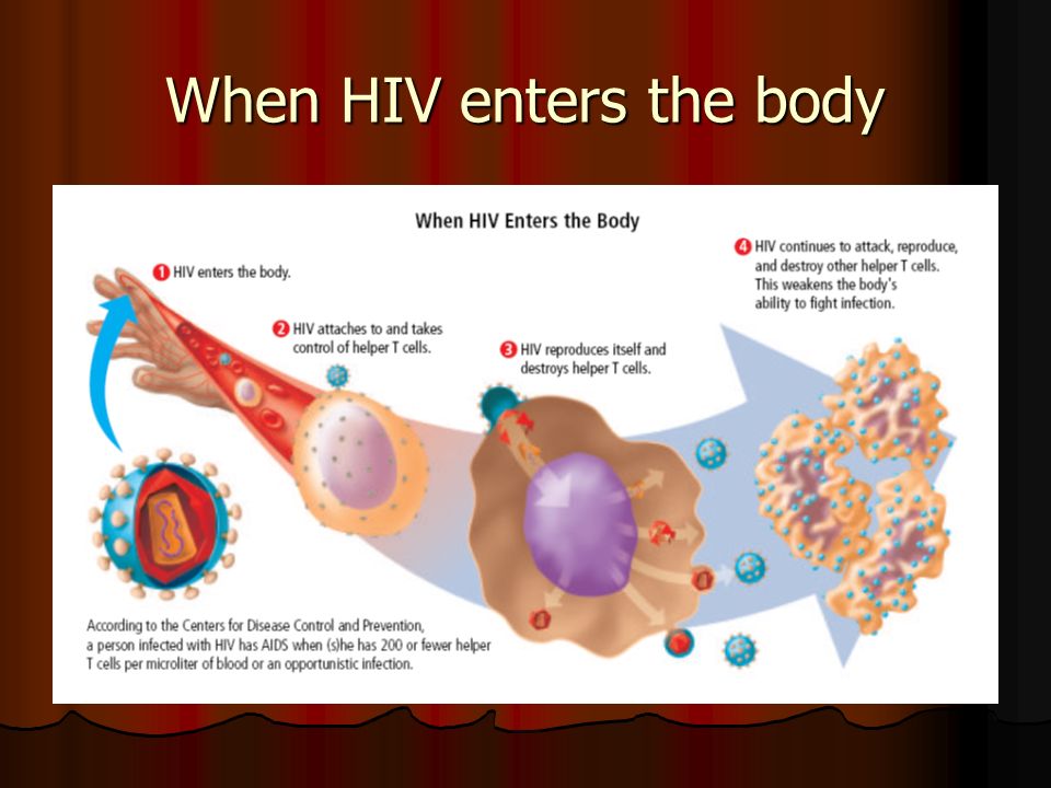 When HIV enters the body