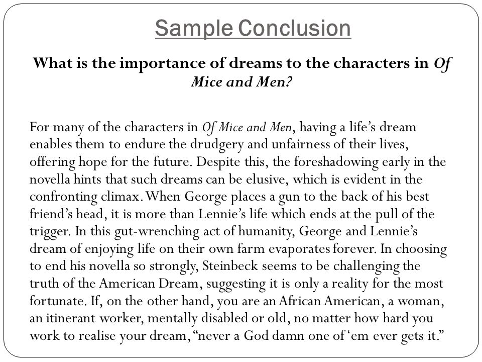 A+ Student Essay