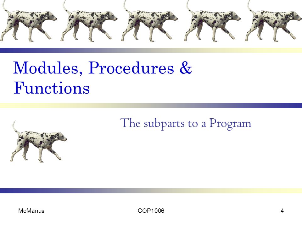 Modules, Procedures & Functions The subparts to a Program McManusCOP10064