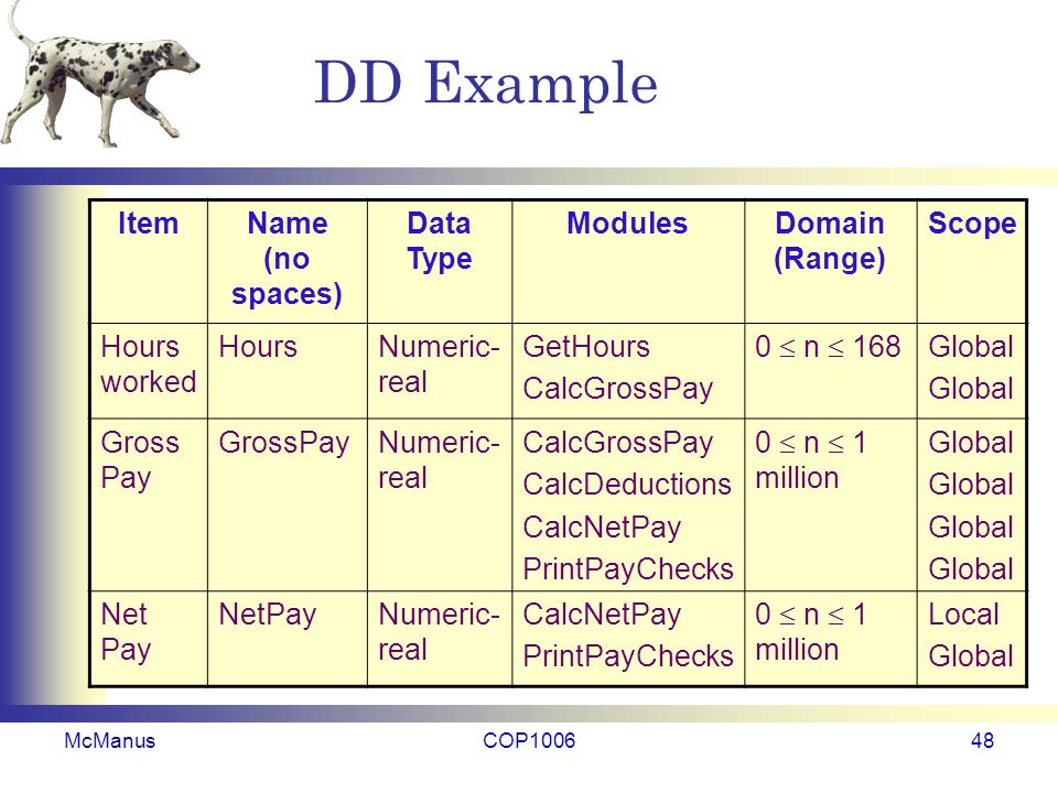 DD Example ItemName (no spaces) Data Type ModulesDomain (Range) Scope Hours worked HoursNumeric- real GetHours CalcGrossPay 0  n  168 Global Gross Pay Numeric- real CalcGrossPay CalcDeductions CalcNetPay PrintPayChecks 0  n  1 million Global Net Pay Numeric- real CalcNetPay PrintPayChecks 0  n  1 million Local Global McManusCOP100648