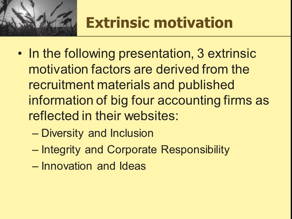 Extrinsic motivation In the following presentation, 3 extrinsic motivation factors are derived from the recruitment materials and published information of big four accounting firms as reflected in their websites: –Diversity and Inclusion –Integrity and Corporate Responsibility –Innovation and Ideas