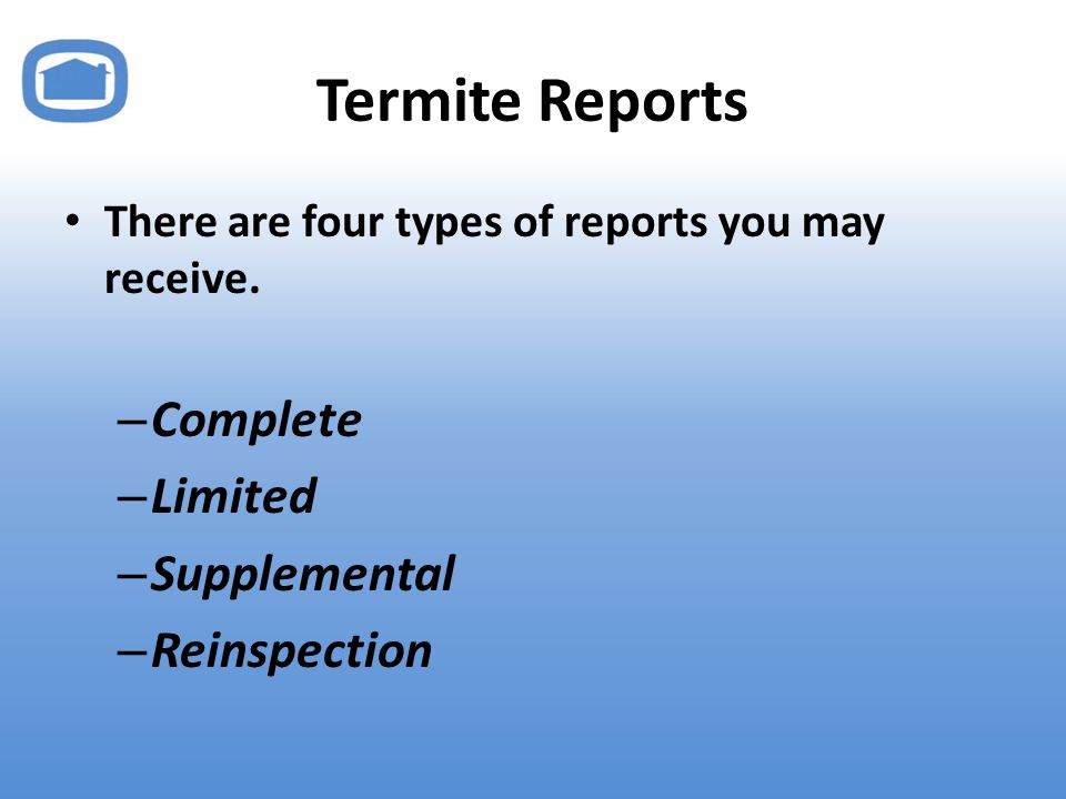Termite Reports There are four types of reports you may receive.