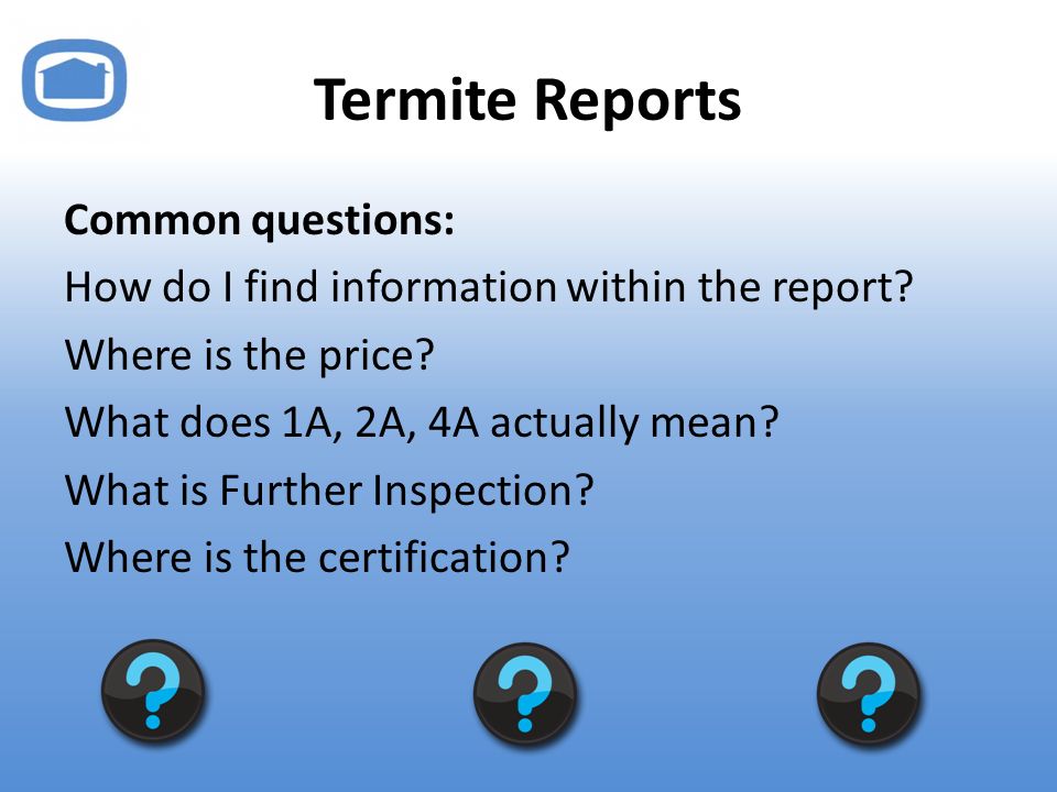 Termite Reports Common questions: How do I find information within the report.