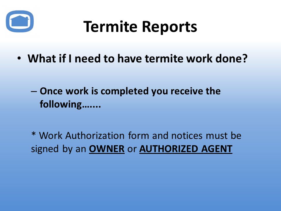 Termite Reports What if I need to have termite work done.