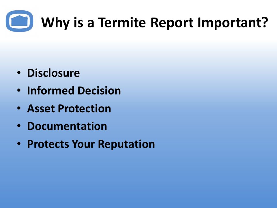 Why is a Termite Report Important.
