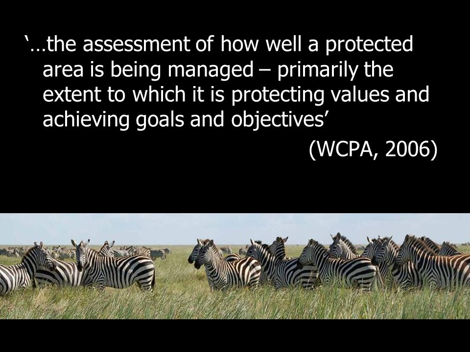‘…the assessment of how well a protected area is being managed – primarily the extent to which it is protecting values and achieving goals and objectives’ (WCPA, 2006)