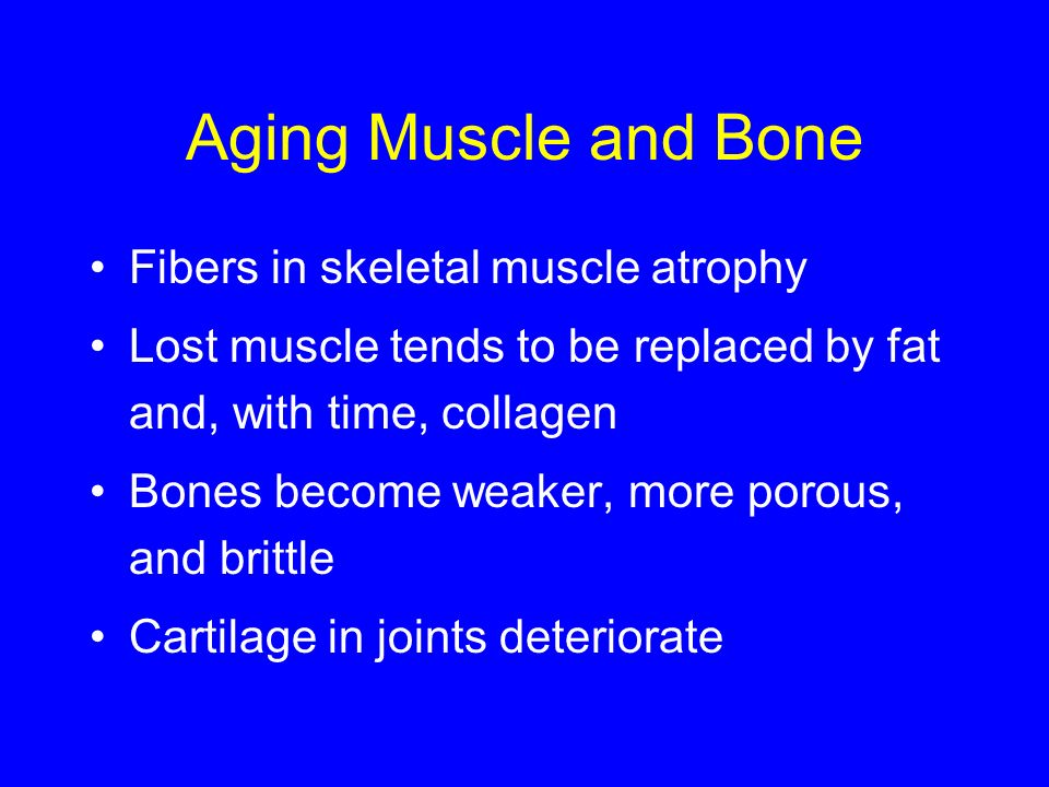 Aging Muscle and Bone Fibers in skeletal muscle atrophy Lost muscle tends to be replaced by fat and, with time, collagen Bones become weaker, more porous, and brittle Cartilage in joints deteriorate