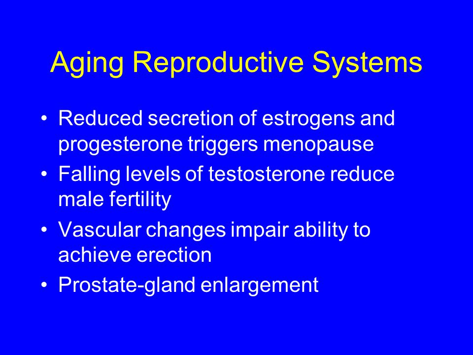 Aging Reproductive Systems Reduced secretion of estrogens and progesterone triggers menopause Falling levels of testosterone reduce male fertility Vascular changes impair ability to achieve erection Prostate-gland enlargement