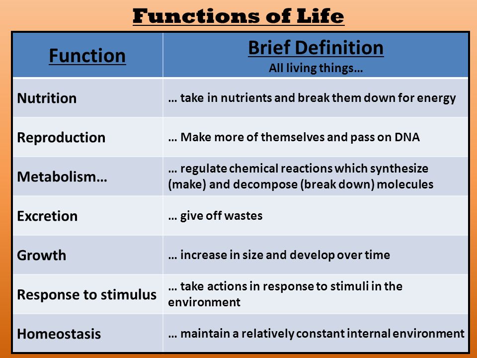 Functions of Life Function Brief Definition All living things… Nutrition … take in nutrients and break them down for energy Reproduction … Make more of themselves and pass on DNA Metabolism… … regulate chemical reactions which synthesize (make) and decompose (break down) molecules Excretion … give off wastes Growth … increase in size and develop over time Response to stimulus … take actions in response to stimuli in the environment Homeostasis … maintain a relatively constant internal environment