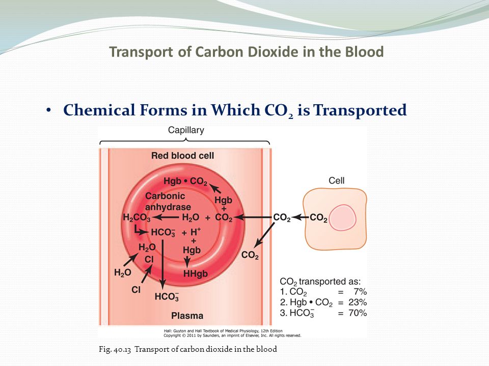 Carbon oxygen carbon dioxide