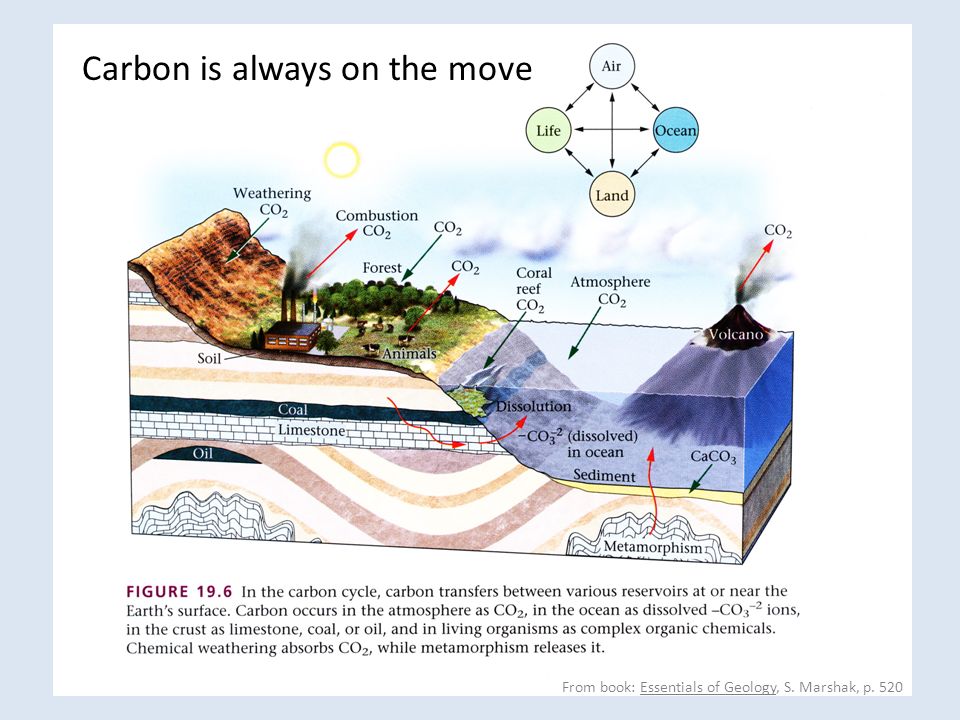 Carbon is always on the move From book: Essentials of Geology, S. Marshak, p. 520