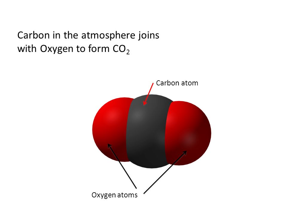 Carbon in the atmosphere joins with Oxygen to form CO 2 Carbon atom Oxygen atoms