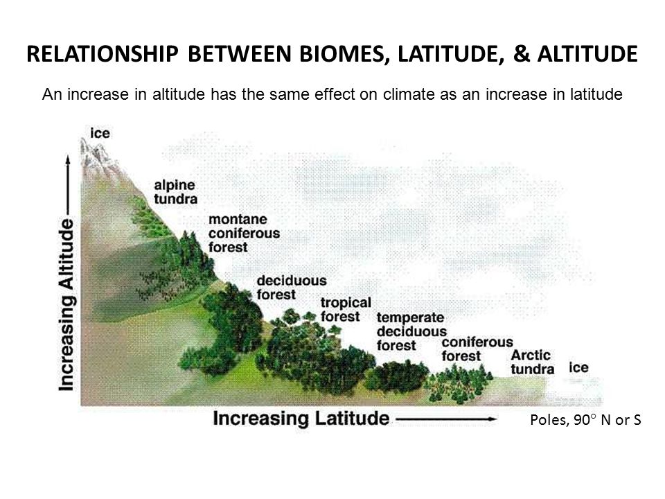 RELATIONSHIP BETWEEN BIOMES, LATITUDE, & ALTITUDE An increase in altitude has the same effect on climate as an increase in latitude Poles, 90° N or S