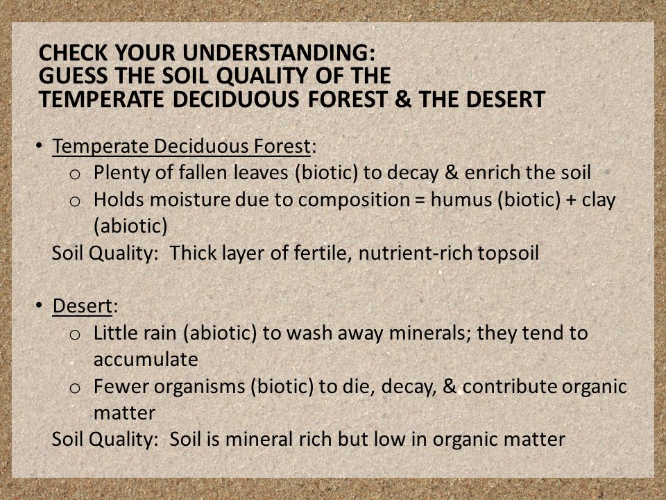 Temperate Deciduous Forest: o Plenty of fallen leaves (biotic) to decay & enrich the soil o Holds moisture due to composition = humus (biotic) + clay (abiotic) Soil Quality: Thick layer of fertile, nutrient-rich topsoil Desert: o Little rain (abiotic) to wash away minerals; they tend to accumulate o Fewer organisms (biotic) to die, decay, & contribute organic matter Soil Quality: Soil is mineral rich but low in organic matter CHECK YOUR UNDERSTANDING: GUESS THE SOIL QUALITY OF THE TEMPERATE DECIDUOUS FOREST & THE DESERT