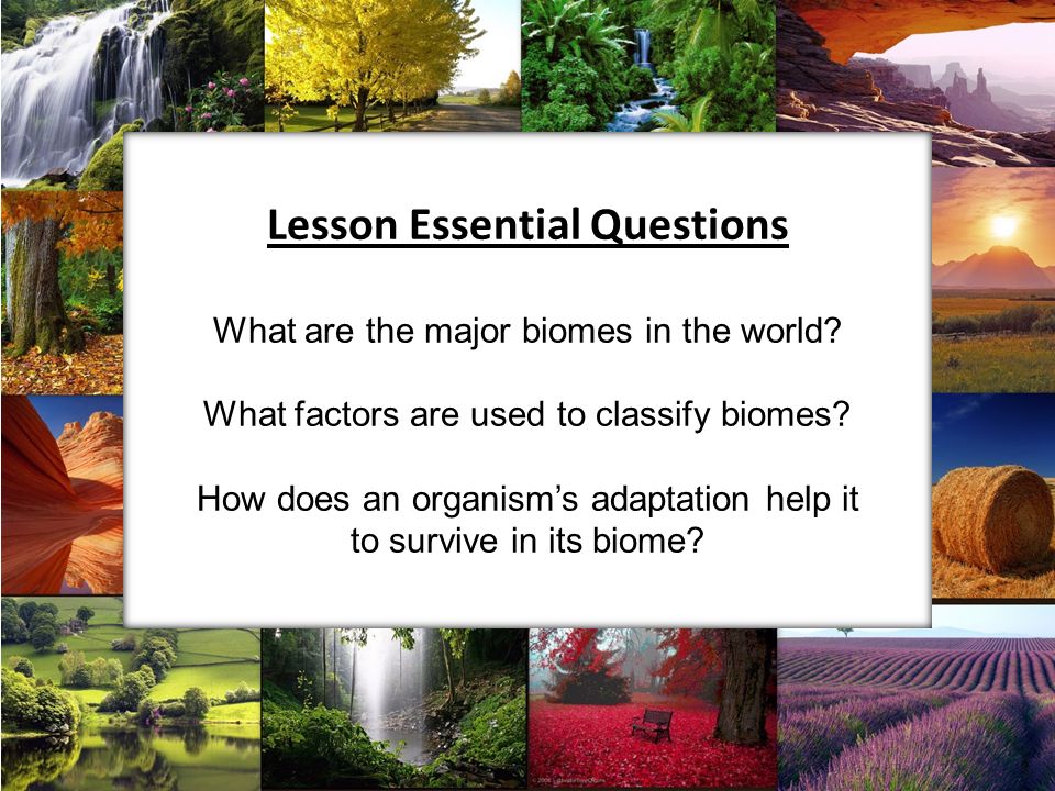 Lesson Essential Questions What are the major biomes in the world.