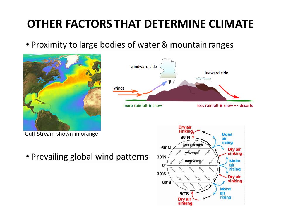 OTHER FACTORS THAT DETERMINE CLIMATE Proximity to large bodies of water & mountain ranges Prevailing global wind patterns Gulf Stream shown in orange