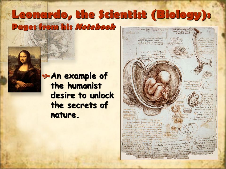 Leonardo, the Scientist (Biology): Pages from his Notebook An example of the humanist desire to unlock the secrets of nature.