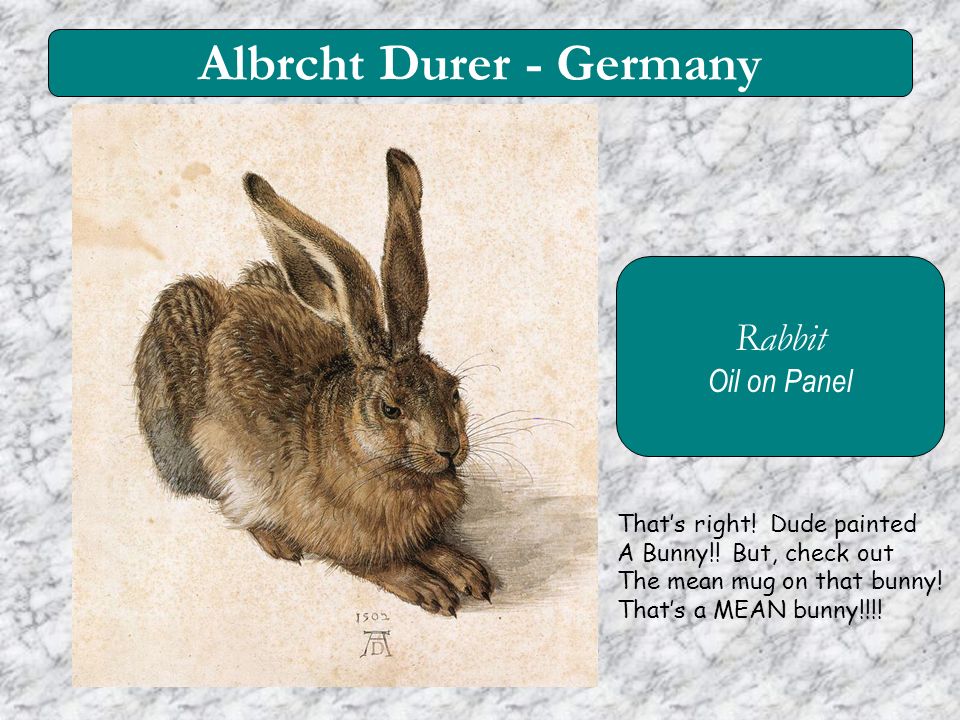 Albrcht Durer - Germany Rabbit Oil on Panel That’s right.