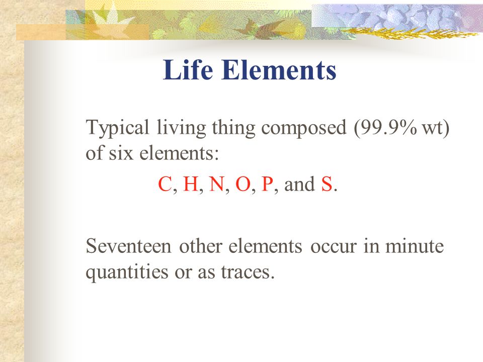 Life Elements Typical living thing composed (99.9% wt) of six elements: C, H, N, O, P, and S.