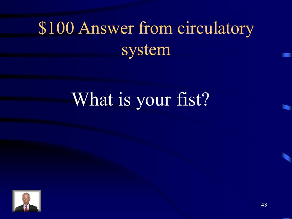 $100 Question from circulatory system This heart is a muscle about the size of 42