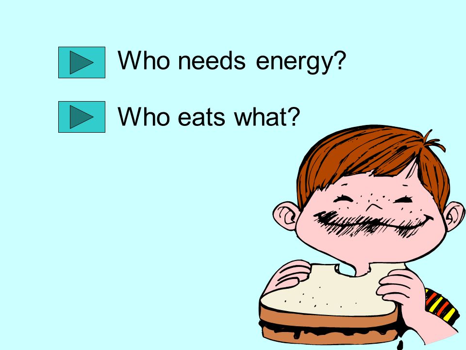 Who needs energy Who eats what