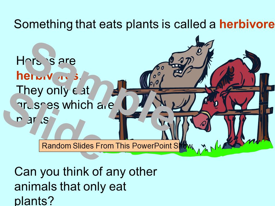 Something that eats plants is called a herbivore. Horses are herbivores.