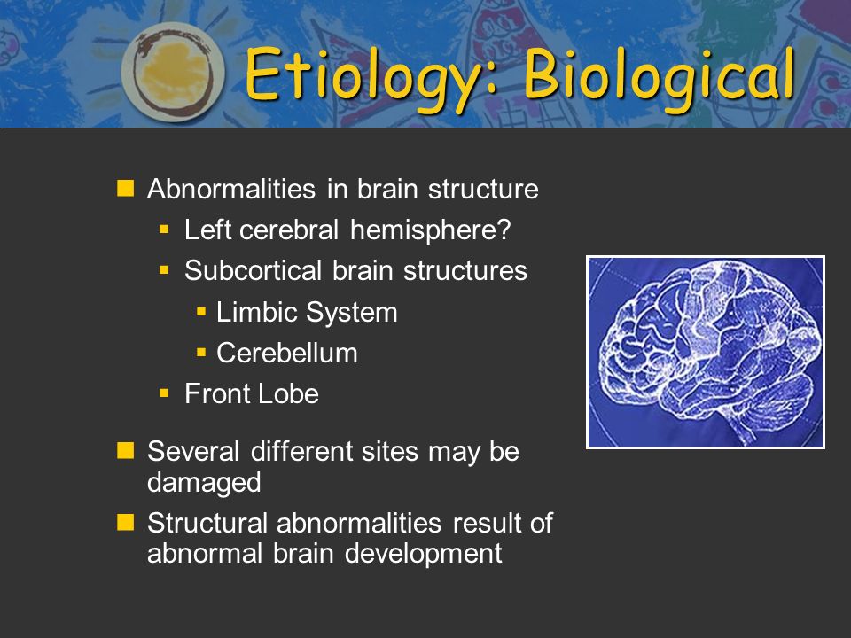 Etiology: Biological n nAbnormalities in brain structure   Left cerebral hemisphere.
