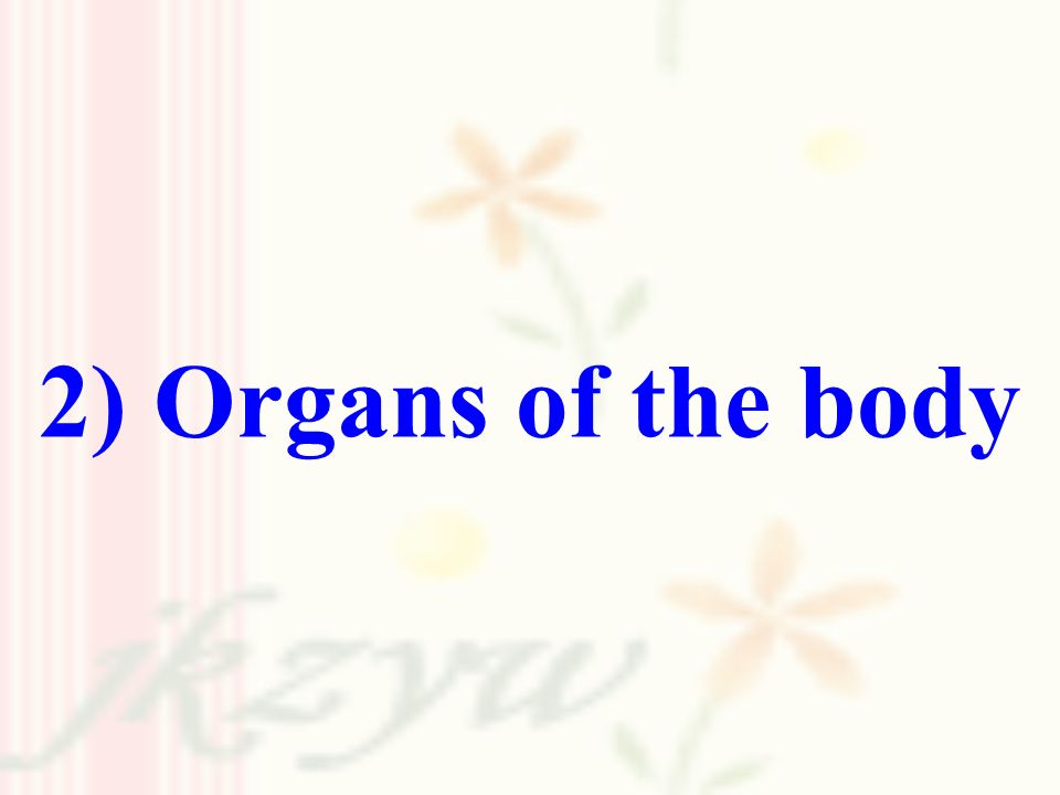 2) Organs of the body