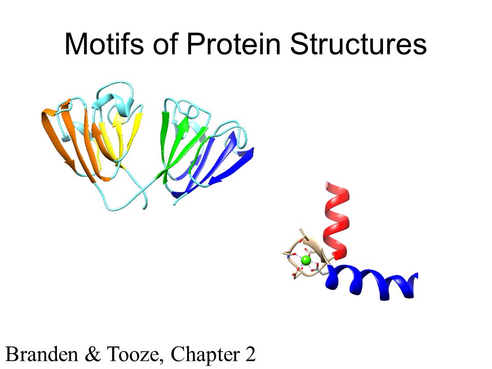 protein motif definition
