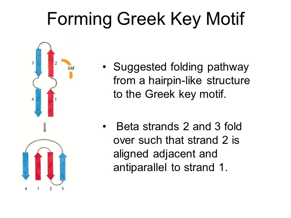 Motifs of Protein Structures Branden & Tooze, Chapter ppt download